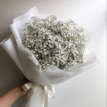 Small bouquet of white gypsophila